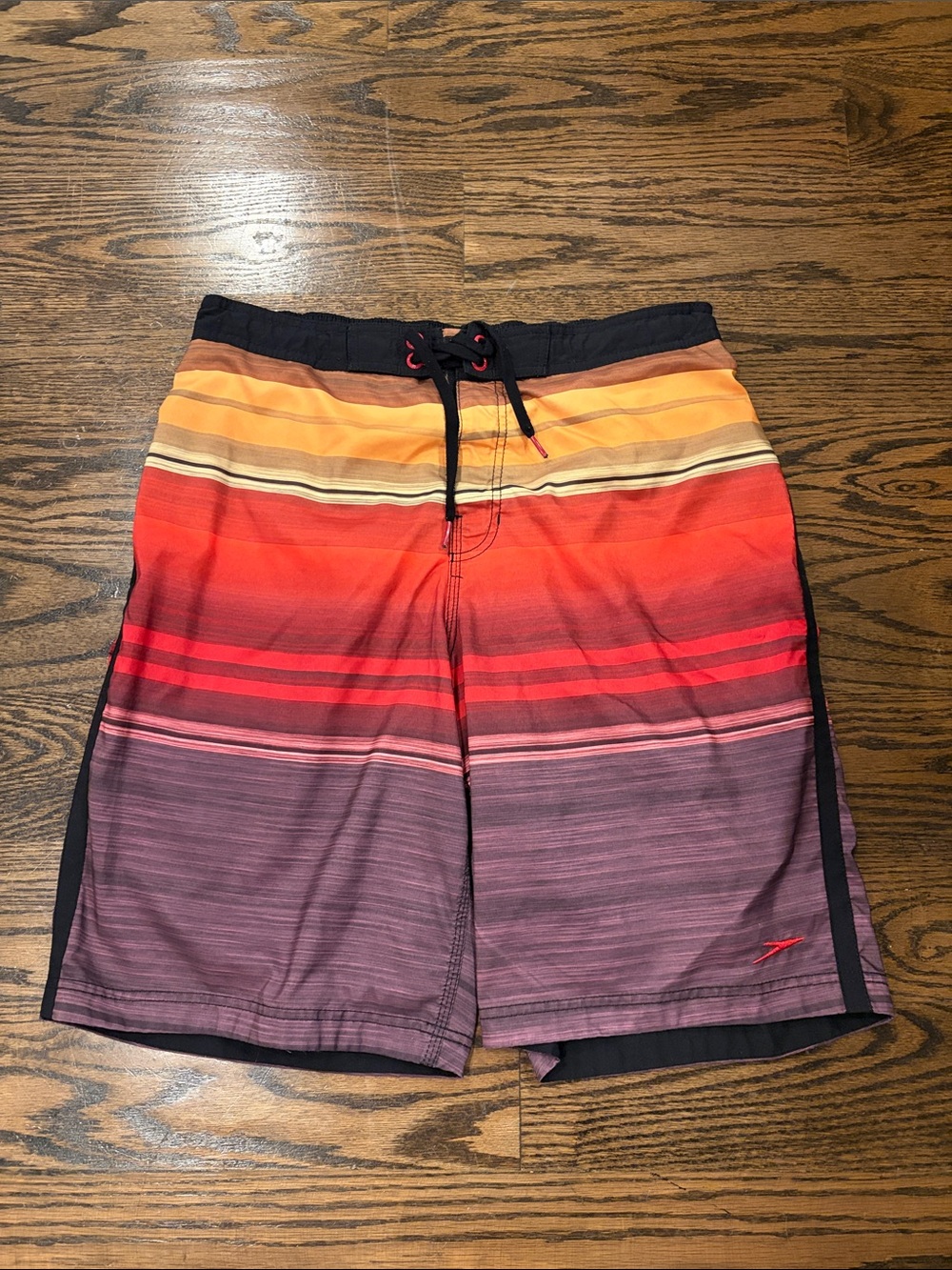 Speedo Ombré Stripe Men’s Swim Trunks